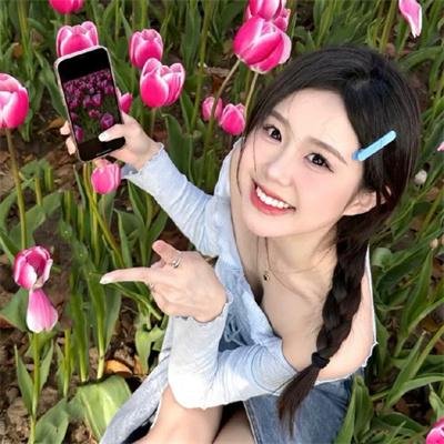 明星志愿2